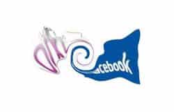 facebook orkut